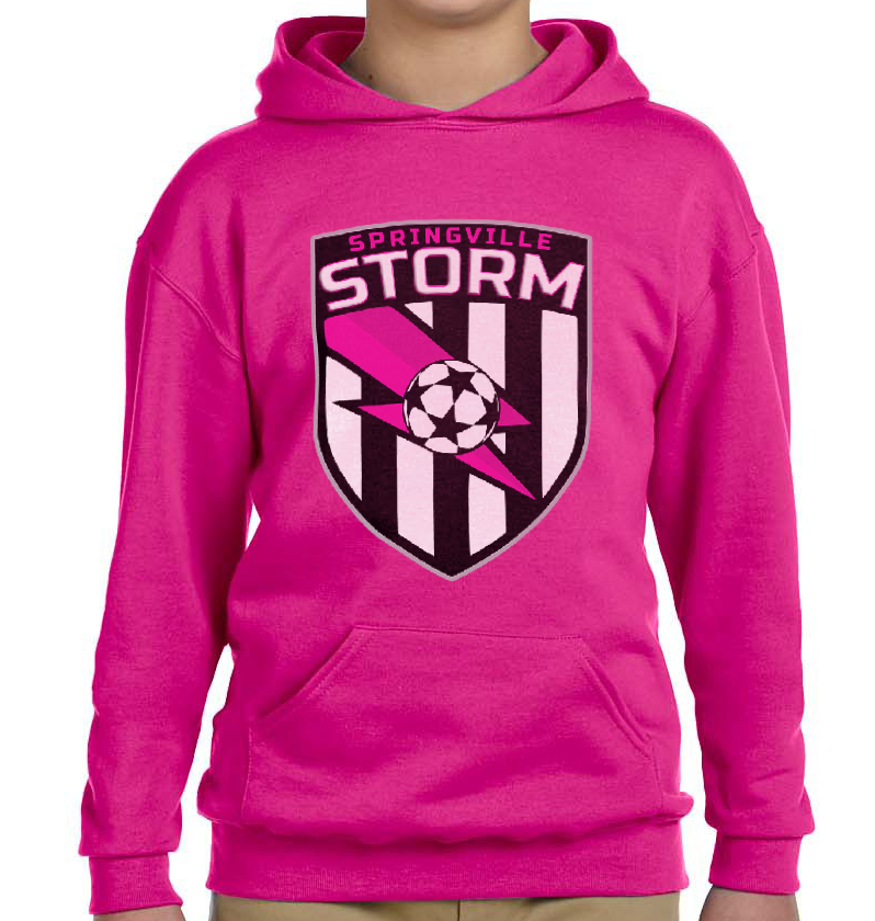 Pink Storm Hoodie